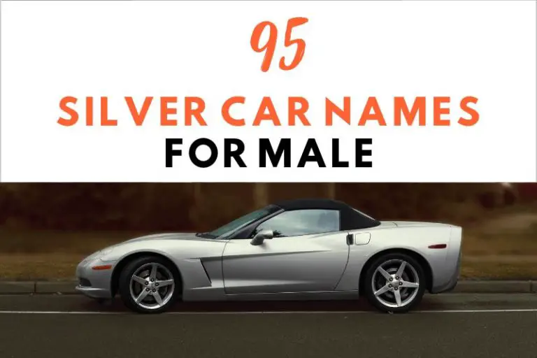 95 Dashing Masculine Silver Car Names: For Men with Style