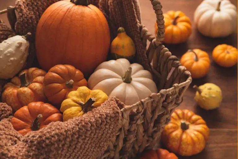 75 Festive Pumpkin Event Names to Light Up Your Celebrations