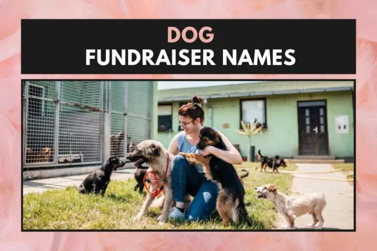 75 Paw-some Dog Fundraiser Names to Unleash Your Success