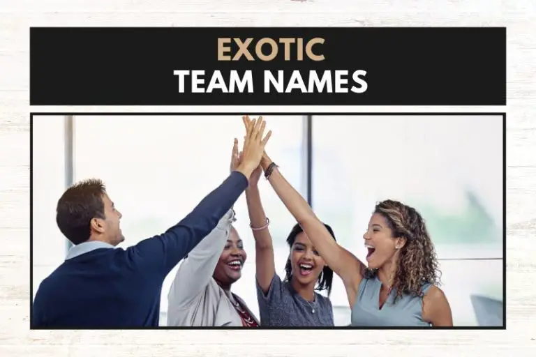 51 Exotic Team Names to Add a Touch of Adventure