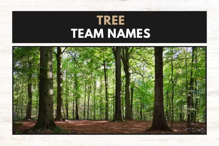 51 Mighty Tree Team Names to Stand Up To The Competition